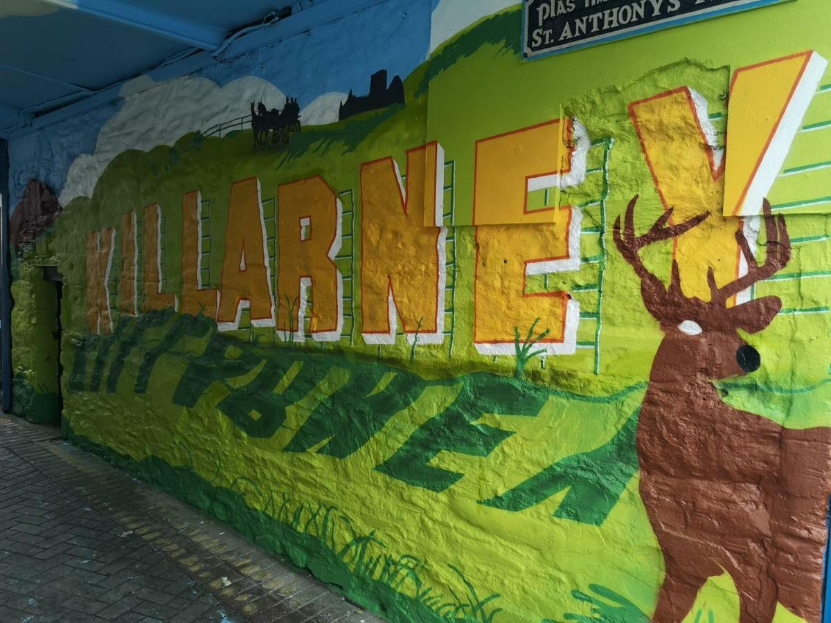 Dan Linehan'S B&B Killarney Exterior foto